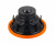DL Audio Piranha 12 V.2